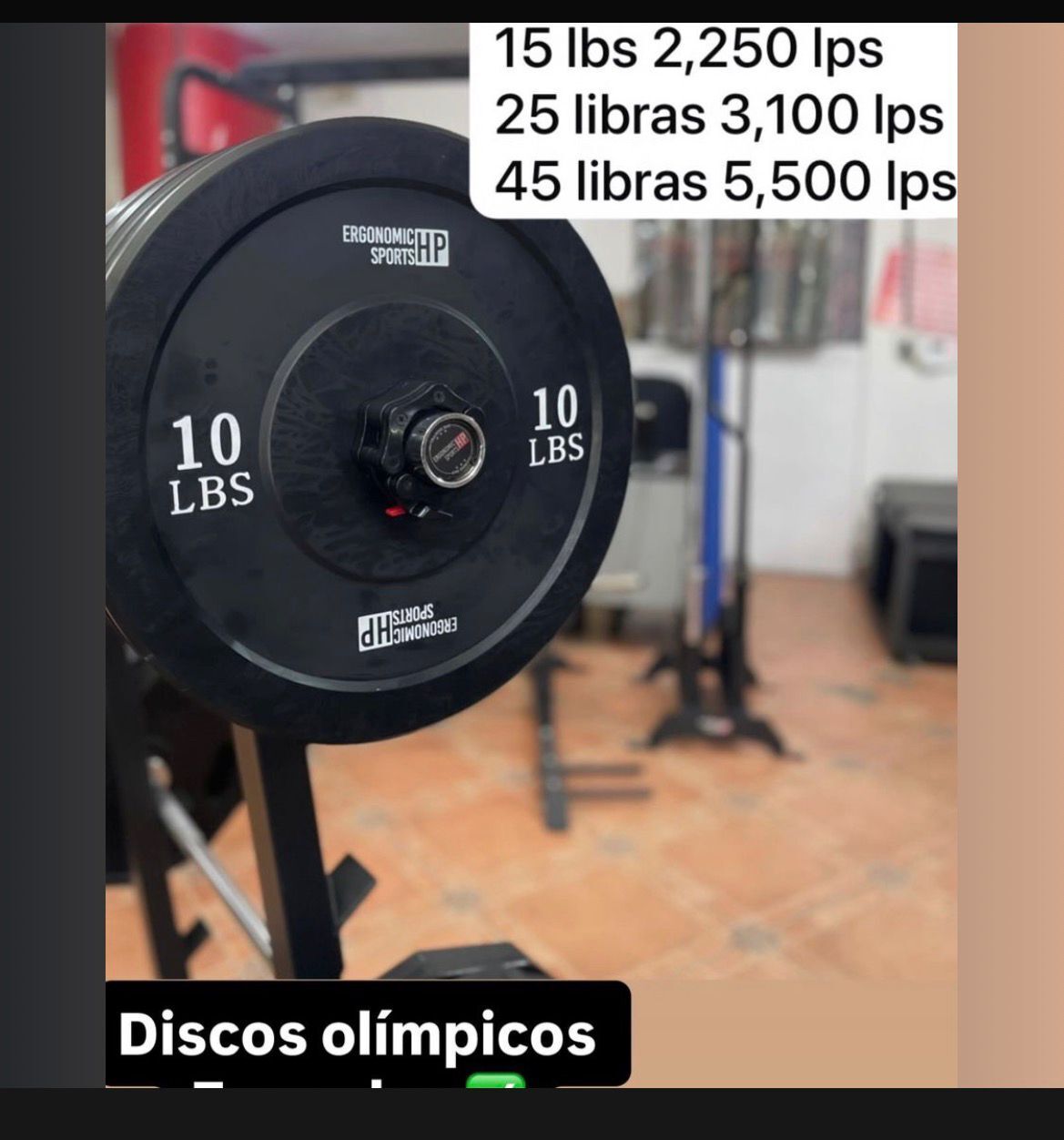 Discos Bumper
