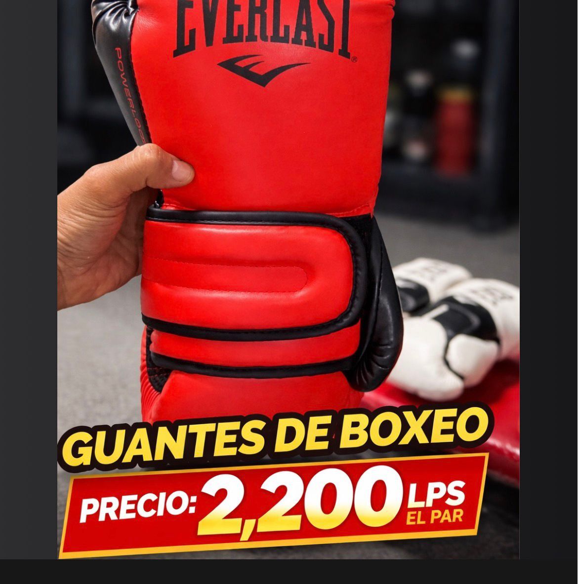 Guantes de Boxeo Everlast