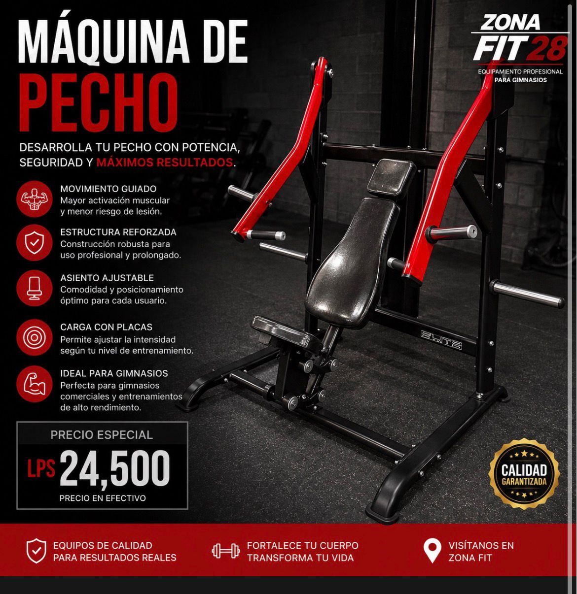 Máquina de Pecho